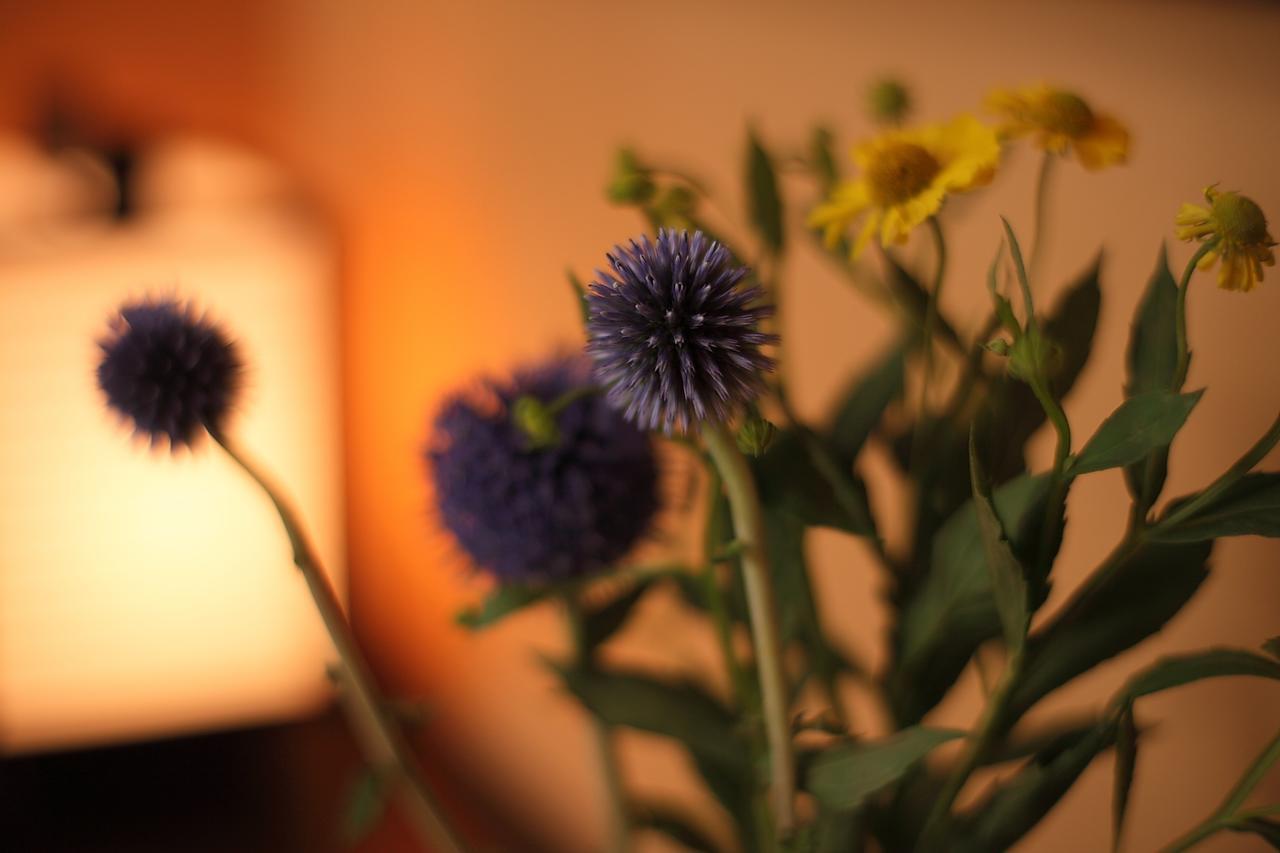 קומאמוטו Ryokan Yamanoyu מראה חיצוני תמונה